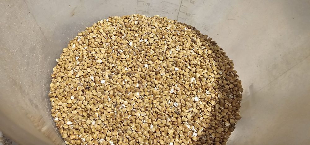 Kasza gryczana palona