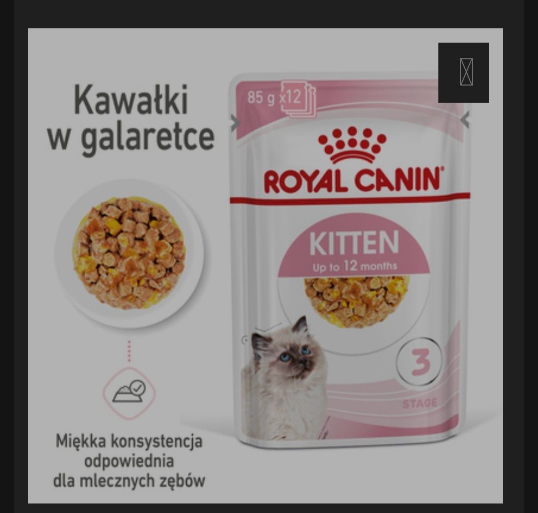Royal canin kitten galaretka 10szt