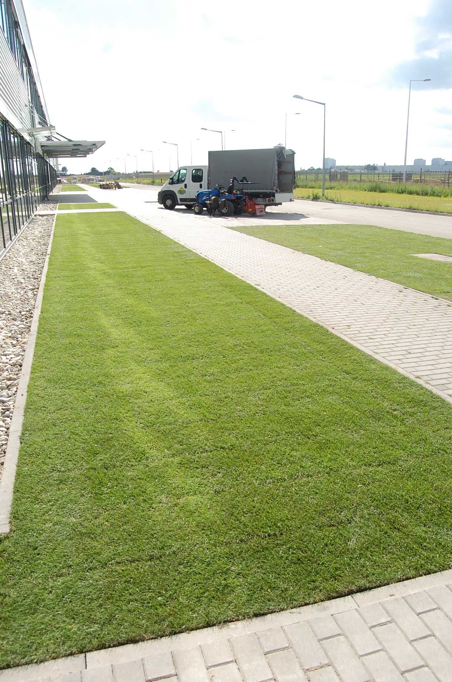 Trawa w rolkach 35m2 - paleta z dostawą CHŁODZONA 6°C