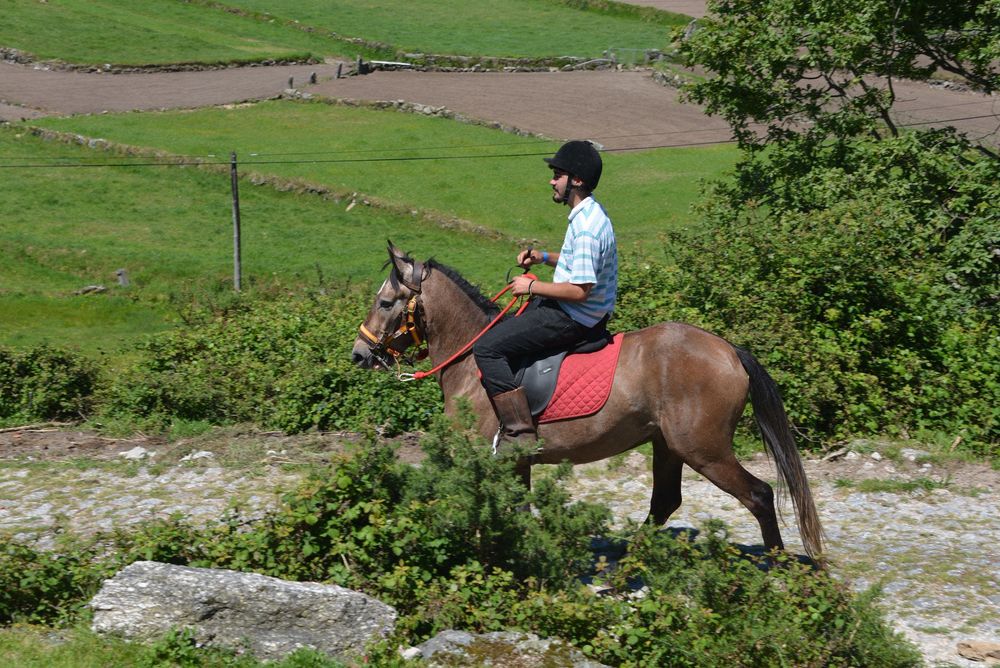 Cavalo 4 anos bom para crianças