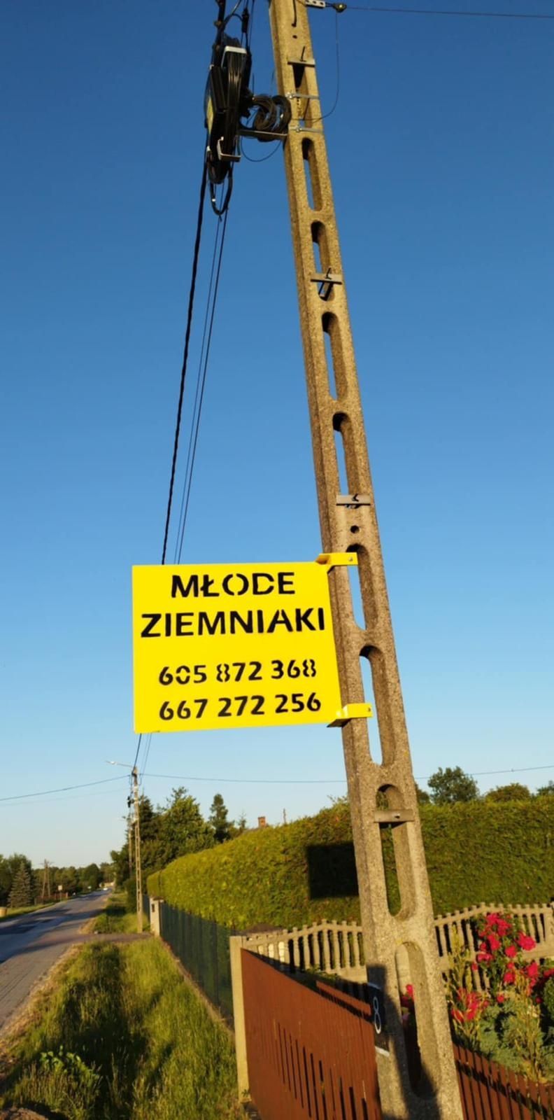 Młode  ziemniaki