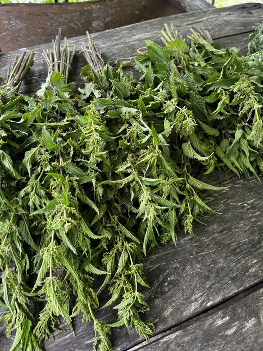 Банні віники з дуба, полині, м'яти, деревій, звіробій, евкаліпта