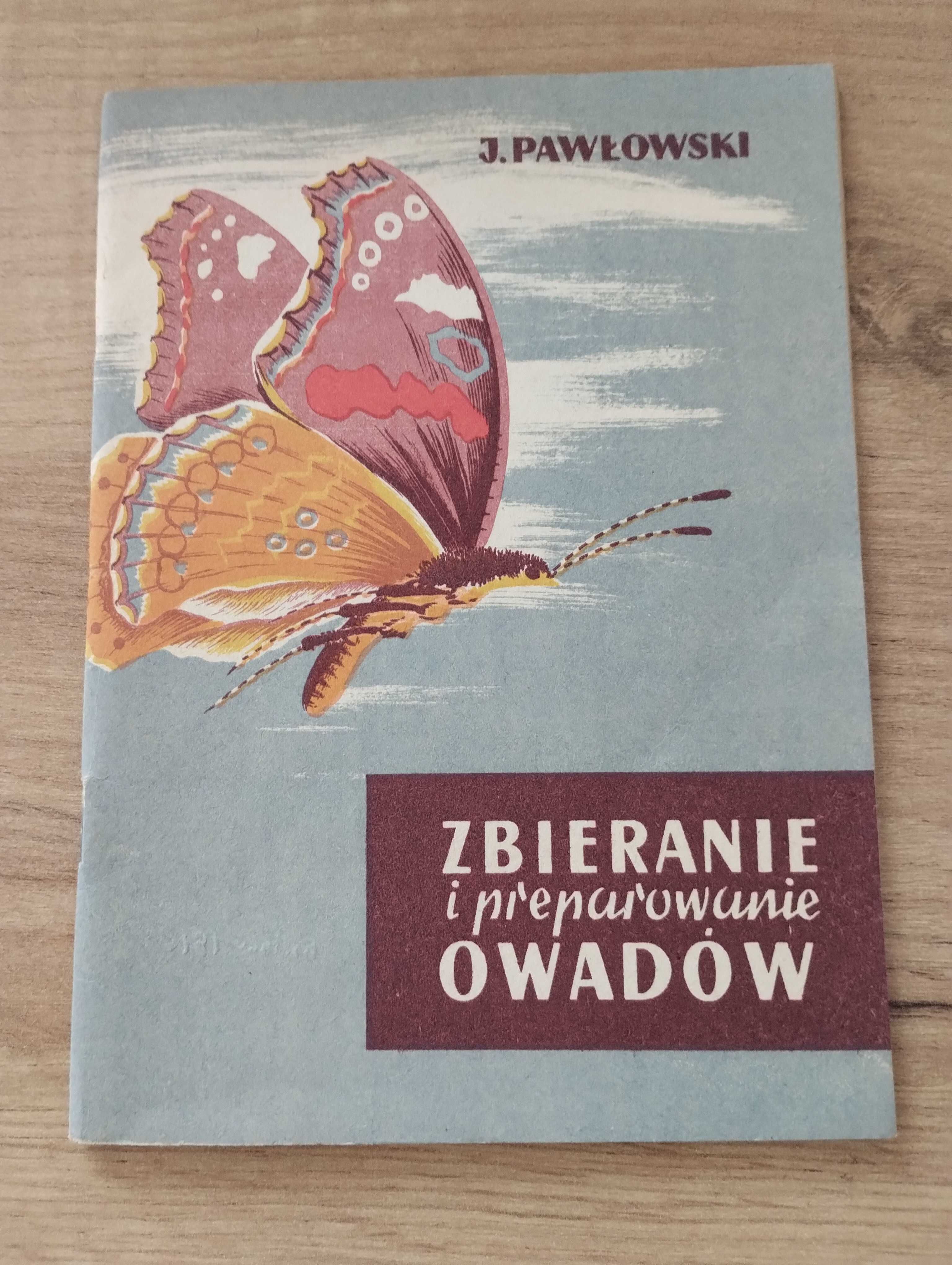 Pawłowski Zbieranie i preparowanie owadów