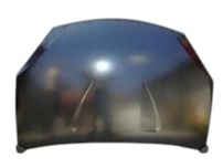 Капот AS06369044 на Renault Sandero 2008-2013