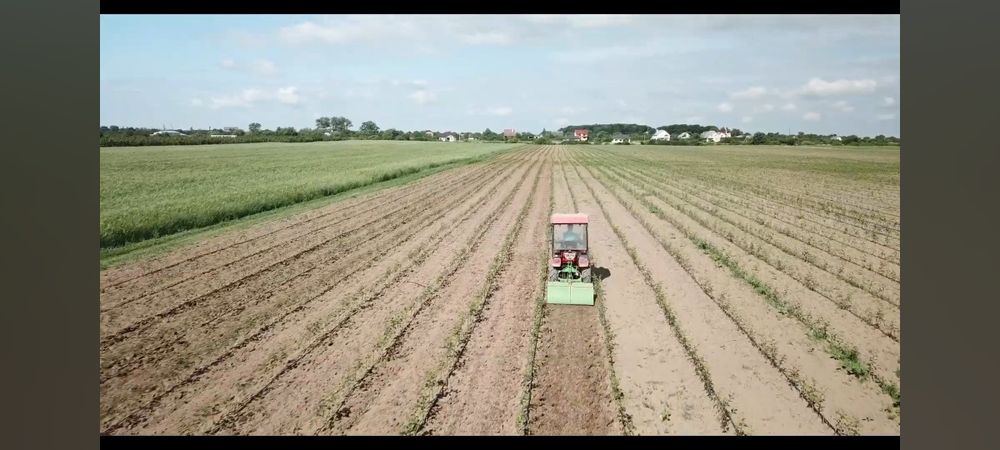 Продається господарство 6 км. від м.Ужгород