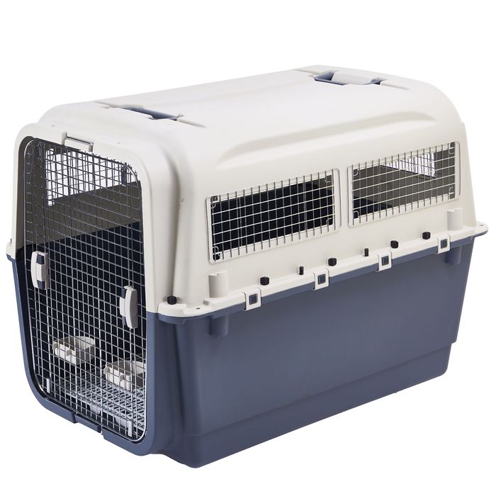 Transportadora para cães (IATA)