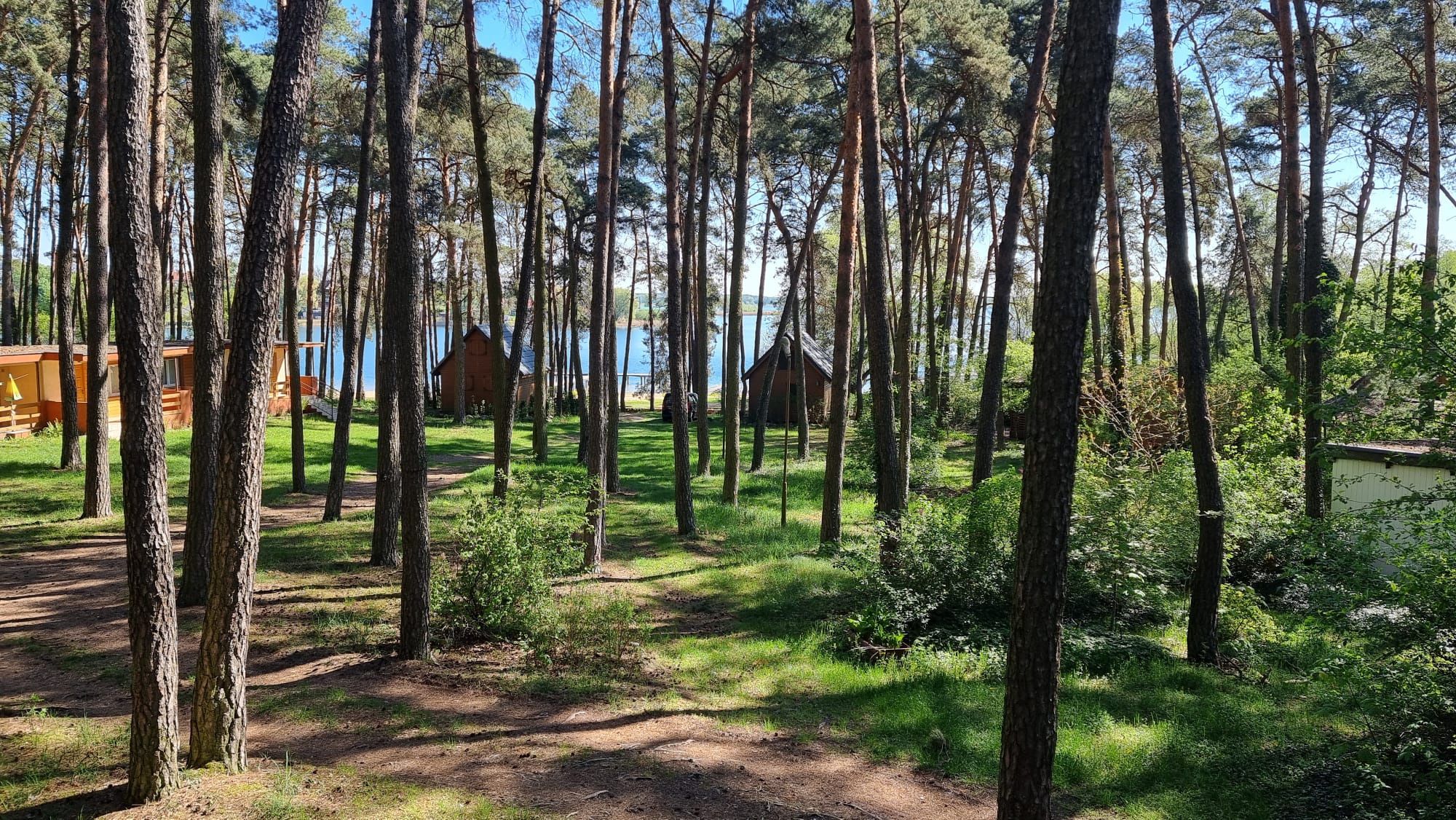 Wynajmę domek w Powidzu