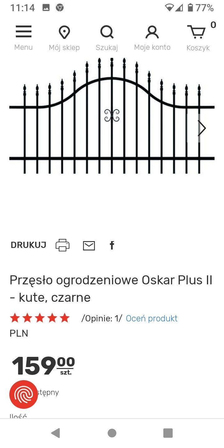 Przęsło ogrodowe, płot