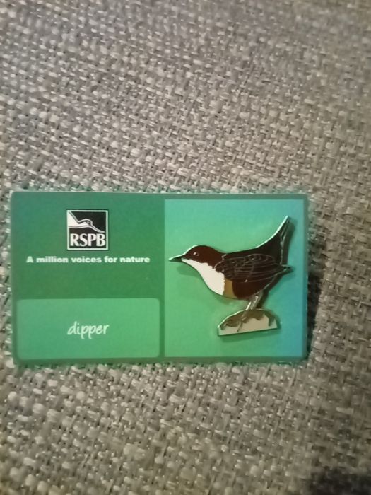 OTOP ptaki, odznaka, pin PLUSZCZ