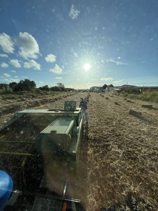 Feno da campanha 2025