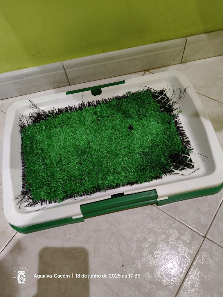 Banheiro de treinamento para cachorro