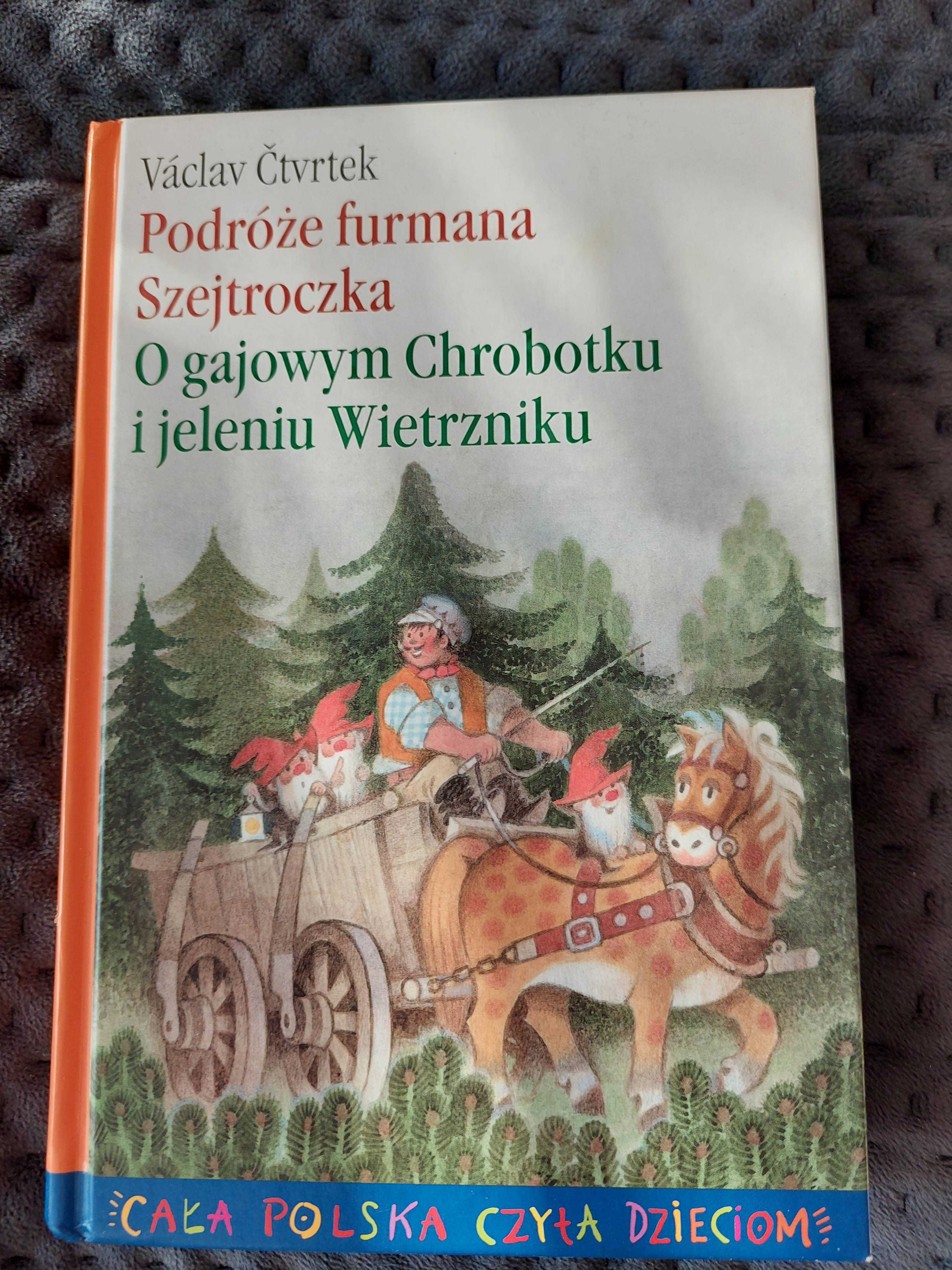 Książka "Podróże furmana Szejtroczka"