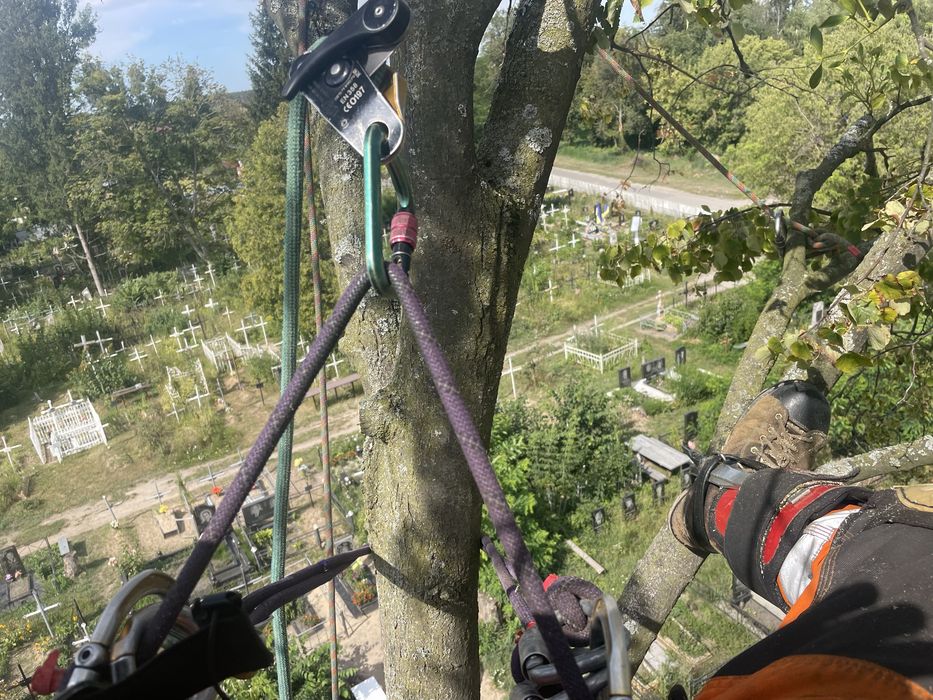 Видалення, спил дерев,кронування,покос трави, чагарників