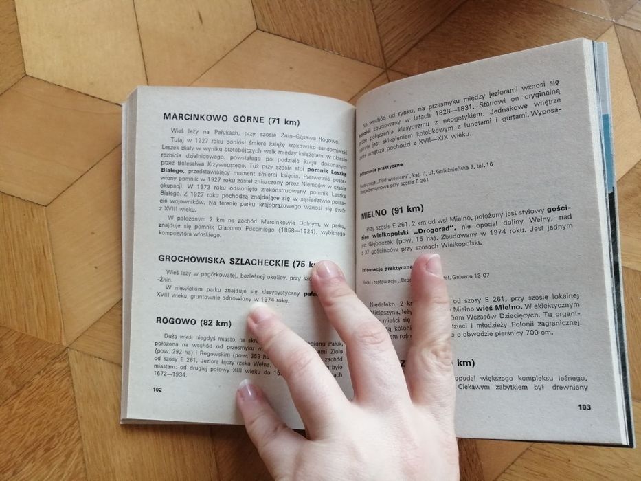 W. Łęcki - Na piastowskim szlaku