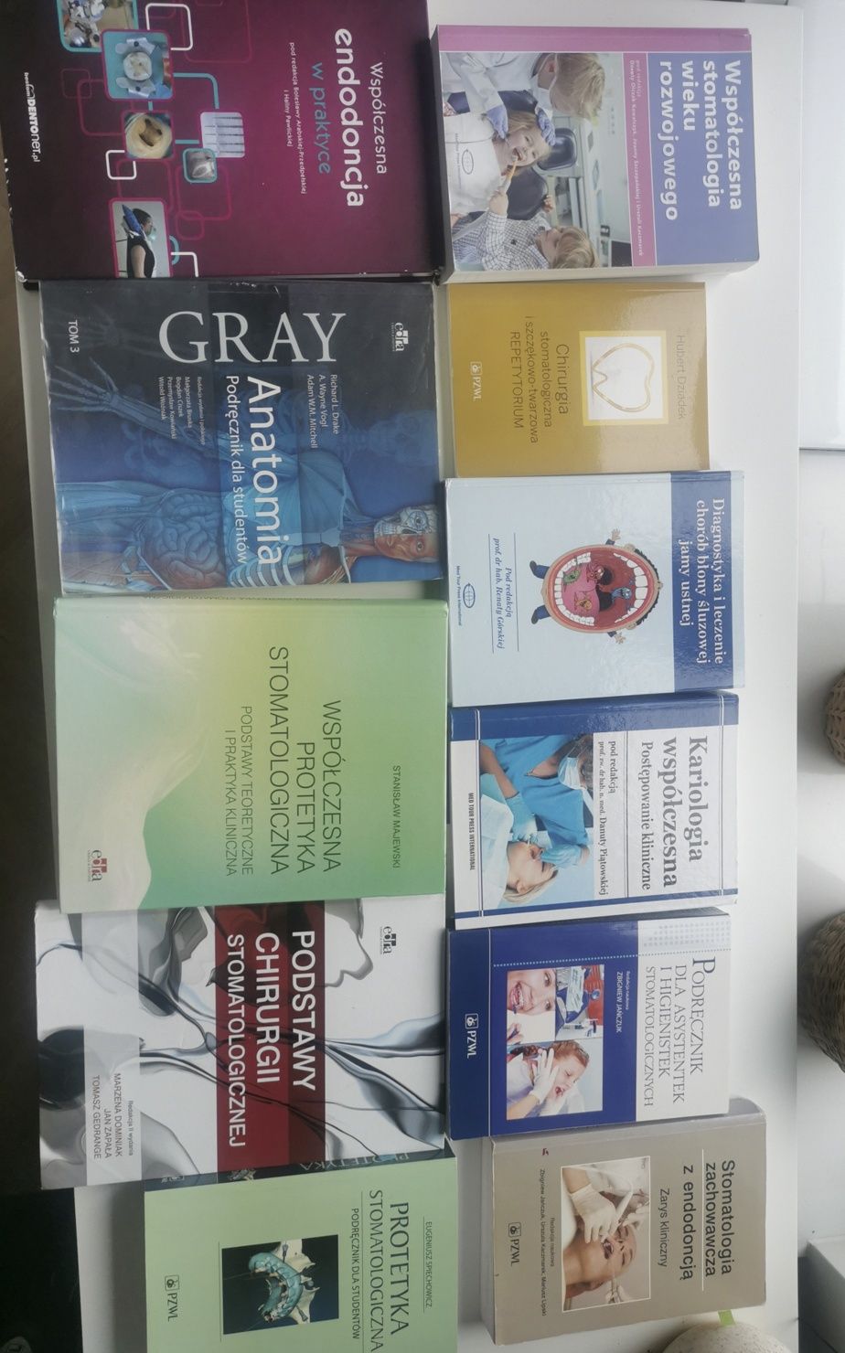 Anatomia. Podręcznik dla studentów. TOM 3. GRAY