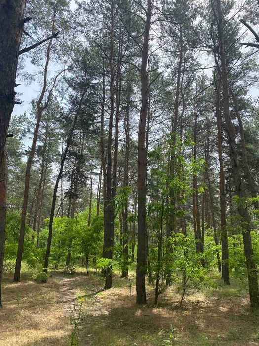 Продам участок в пос. Обуховка