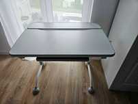 Regulowane biurko dziecięce Fun Desk Volare Grey