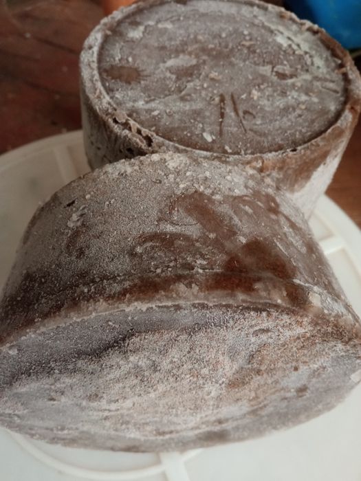 Продам циклопа 250