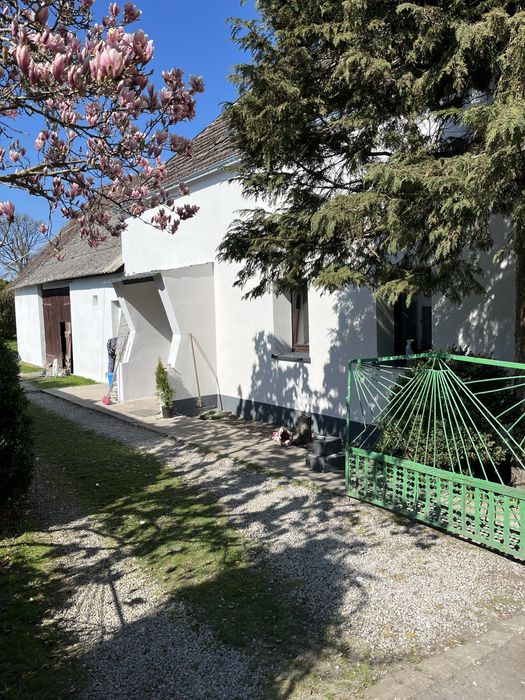 Elewacje,wykonczenia wnetrz,remonty