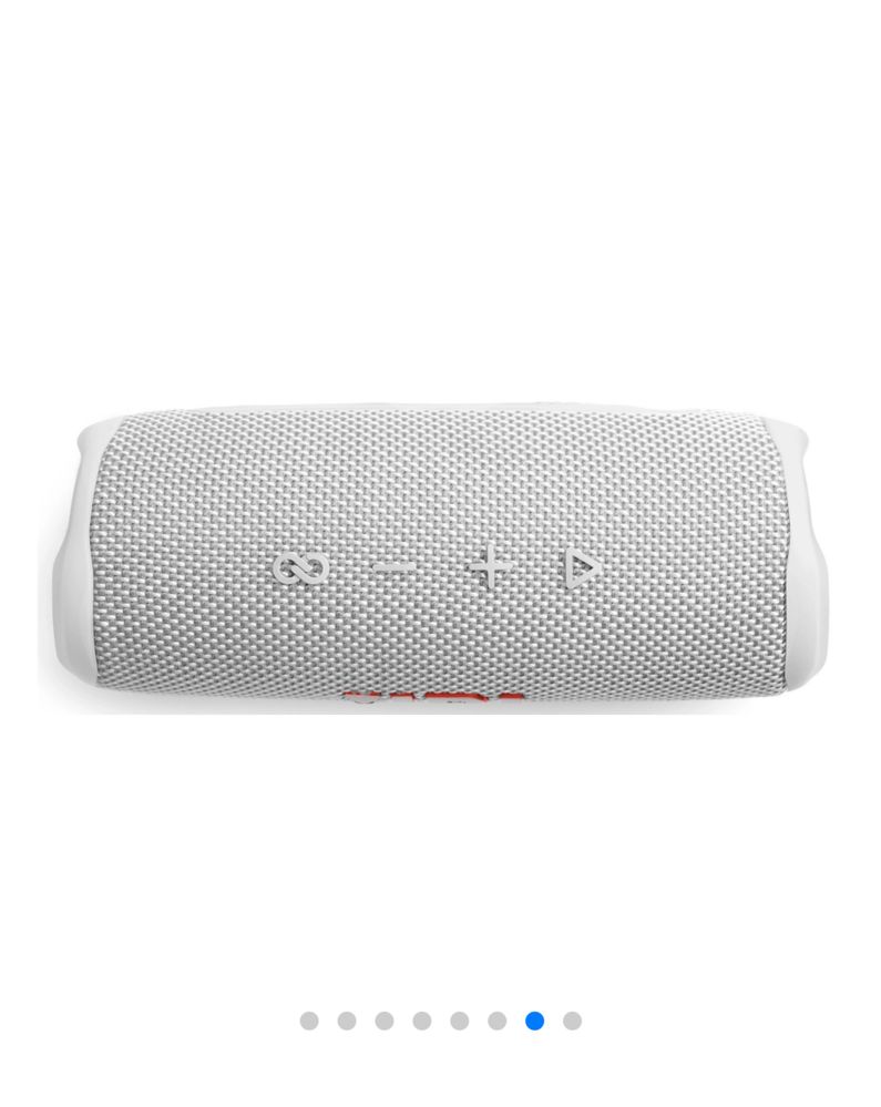 JBL Flip 6.