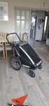 Thule Lite 1 - przyczepka rowerowa, 3w1 (rower, spacer, bieganie)