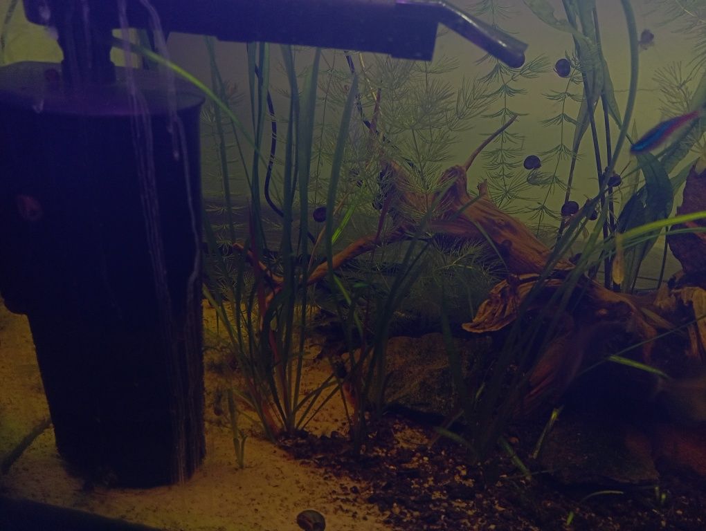 Sprzedam akwarium 112l