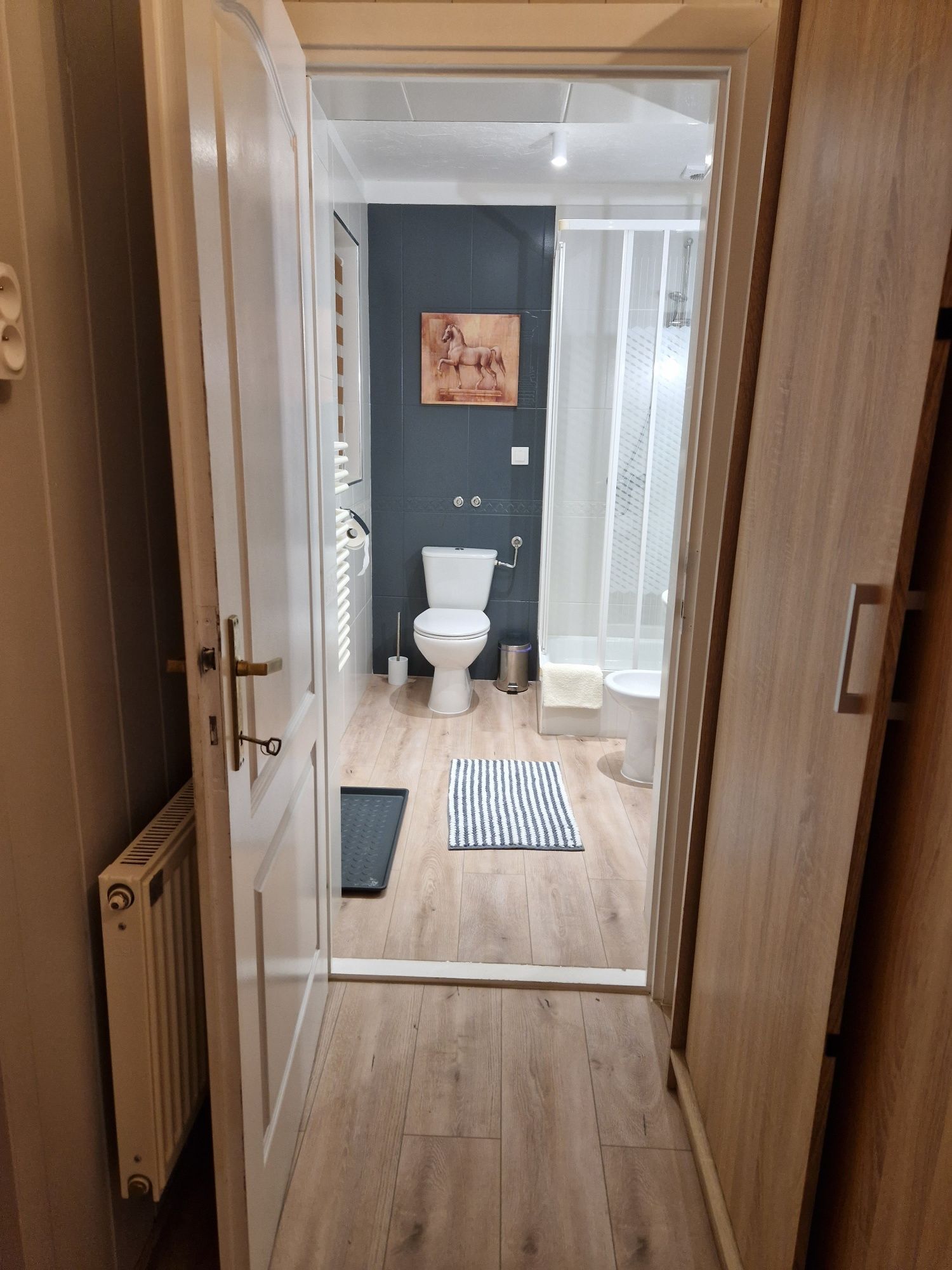 ZAKOPANE Apartament U Majerczyka - wakacje