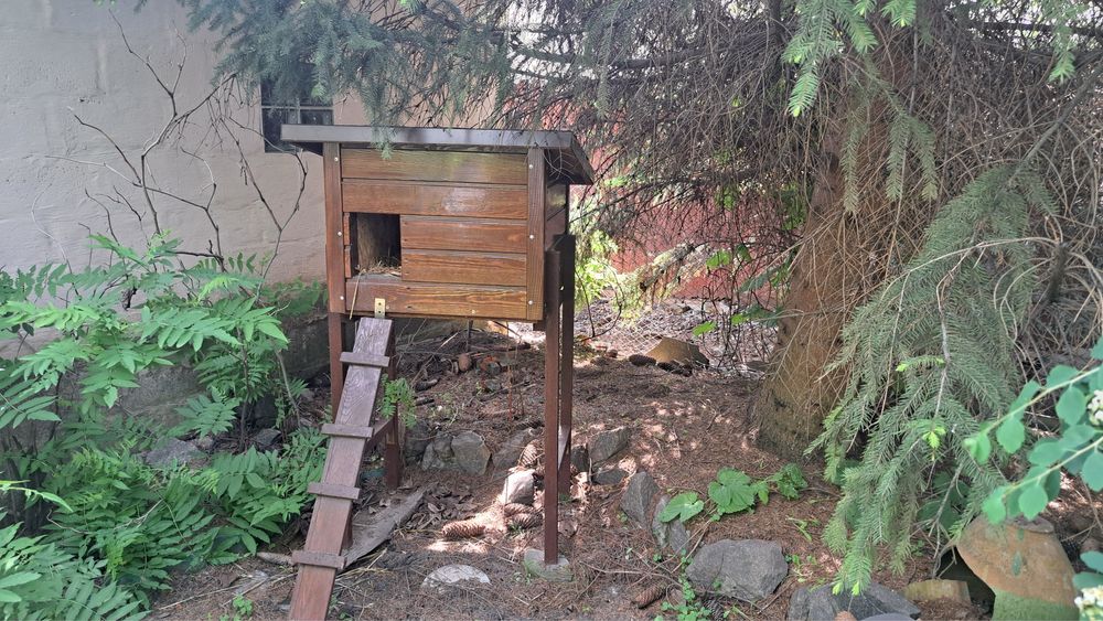 Будиночок для котиків.