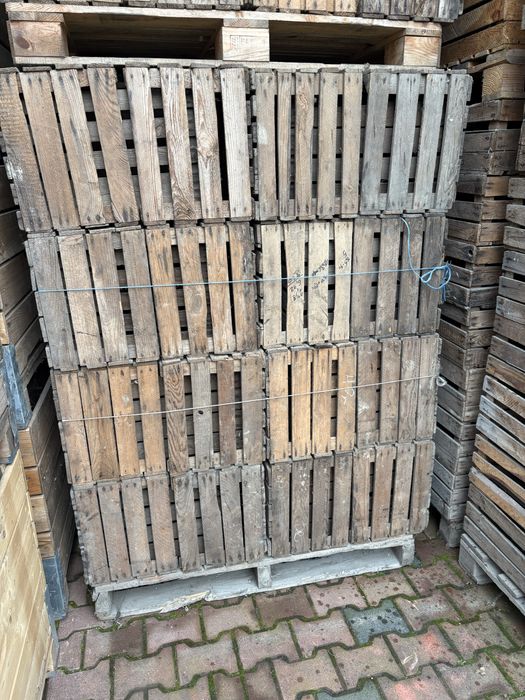 Klatki jedynki jablka kapusta sadownicto rolnictow