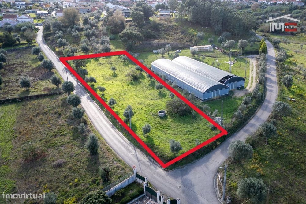 Terreno rústico com olival, poço e possibilidade de instalar Estufa...