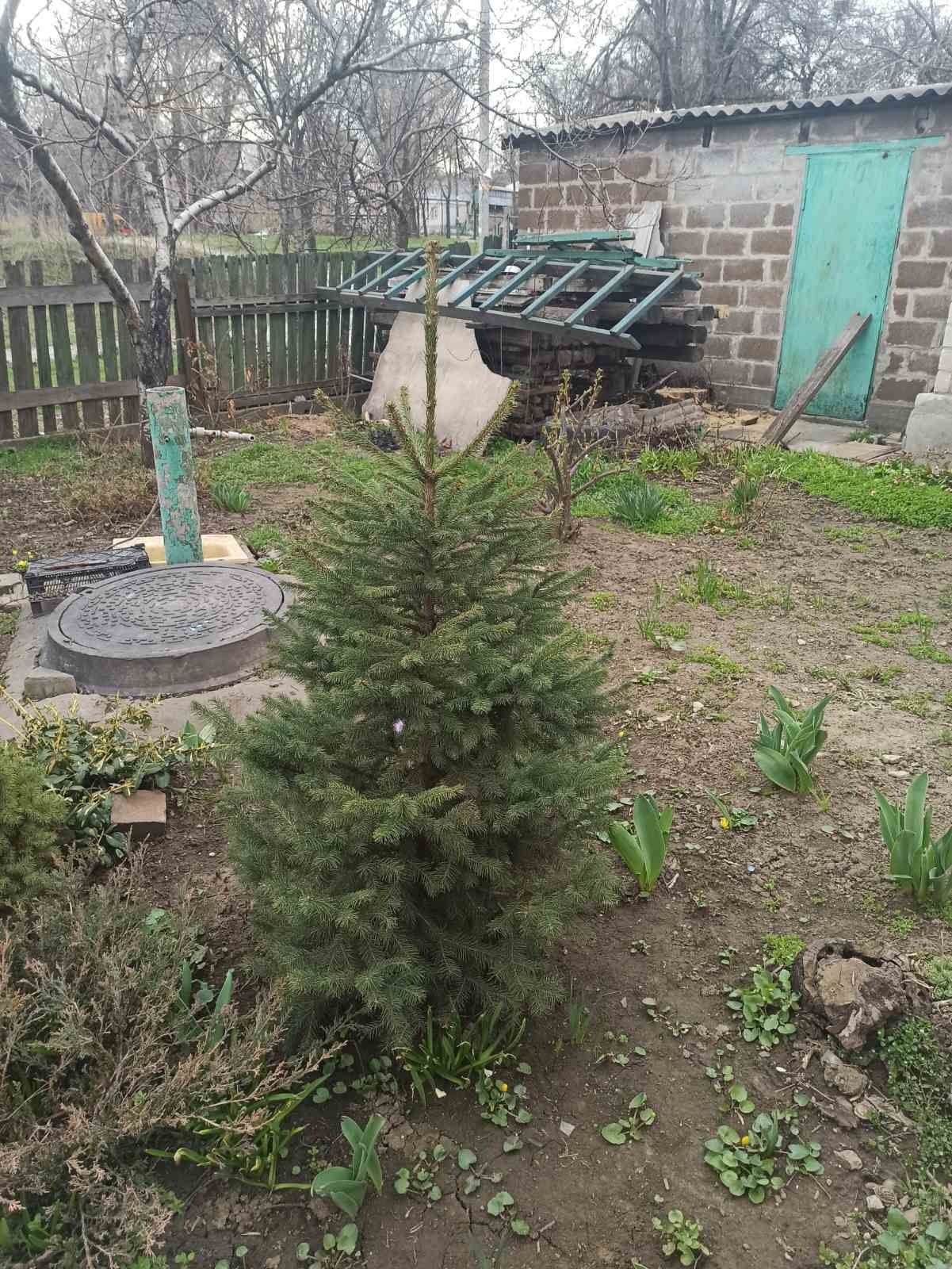 Продажа. Дом с ремонтом