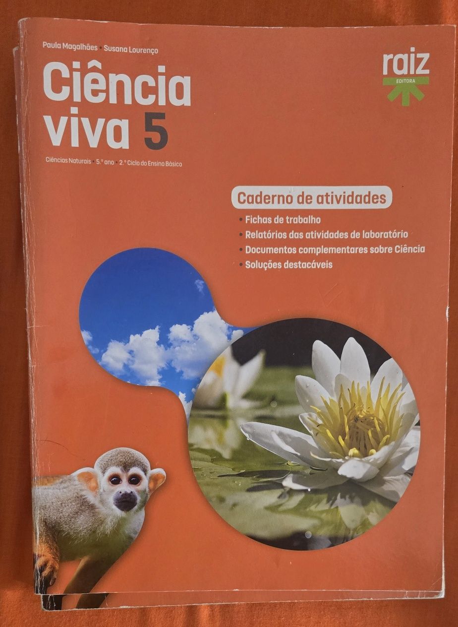 Manuais e Cadernos Escolares – desde 2€ cada