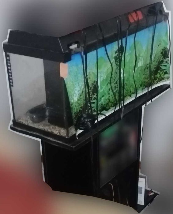 Aquário completo (Aquário + Termostato + Filtro + Móvel + Luz + ..)