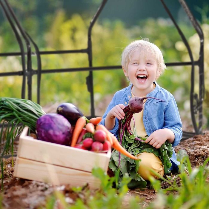 теплиця  Relaxdays HWD: 94 x 180 x 140 см великі двері загострений дах