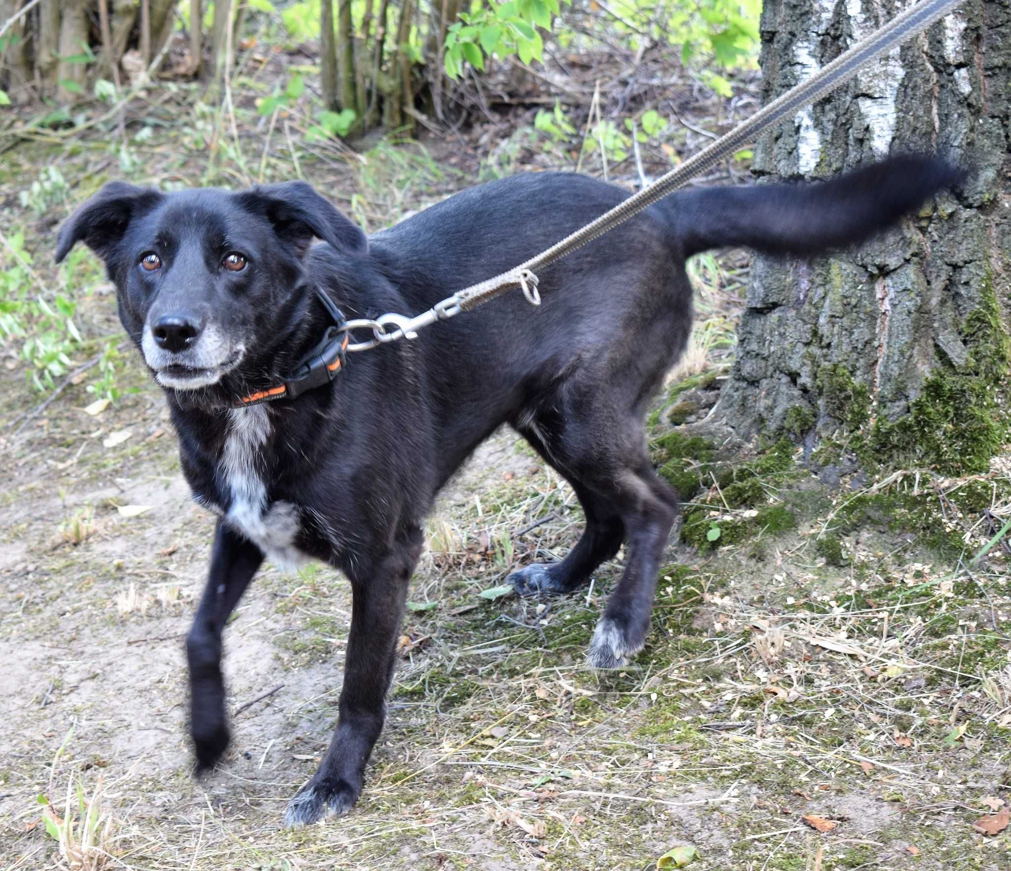 Azja , wyjątkowa ,kochana czarnulka