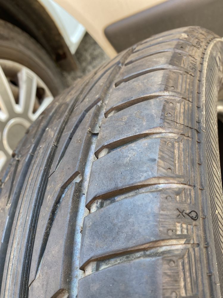 205/55r16 91V Semperit sped-life 2