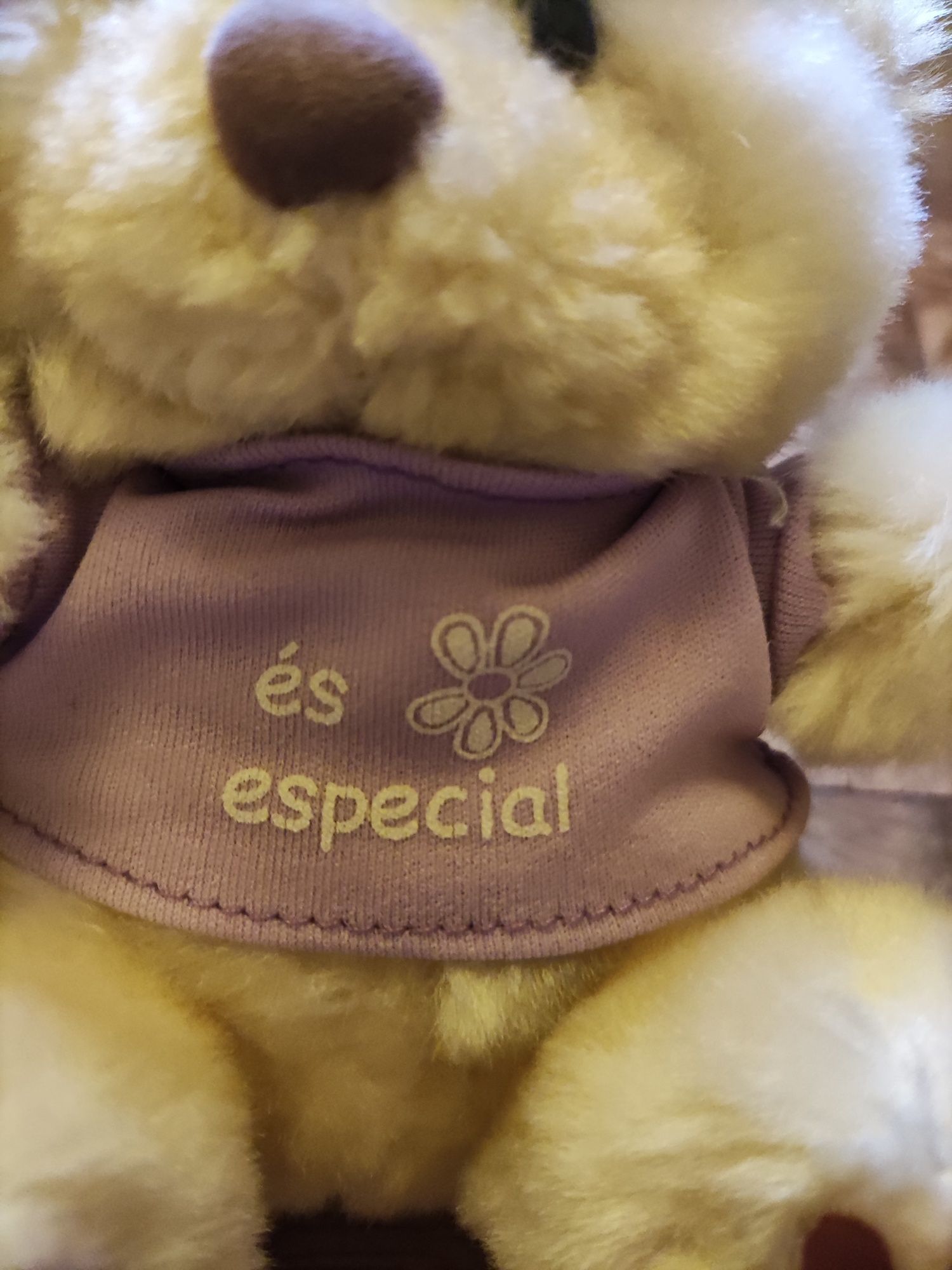 Ursinho de peluche És Especial