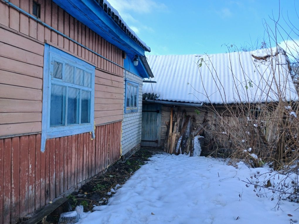 Приватний будинок у смтБерезна