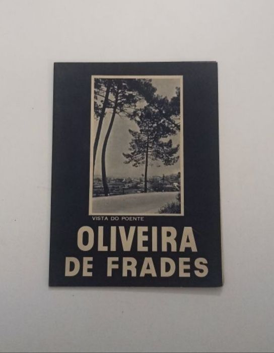 Vendo conjunto de 11 guias ROTEP