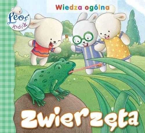 Zwierzęta Królik Leoś wiedza ogólna