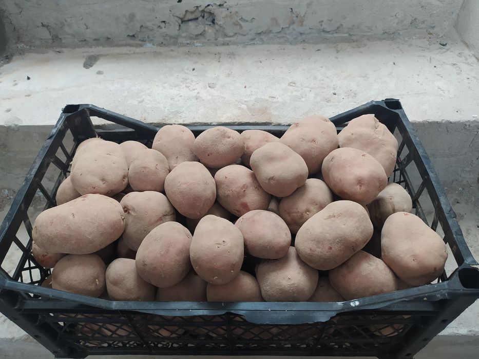 Продам дуже гарна