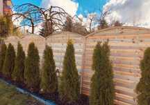 Pergola Płot Drewniany Pełen z Łukiem 180x180x4.4cm Płoty Pergole