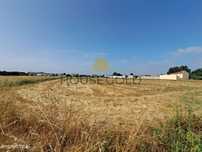 Terreno para construção (MR-266)