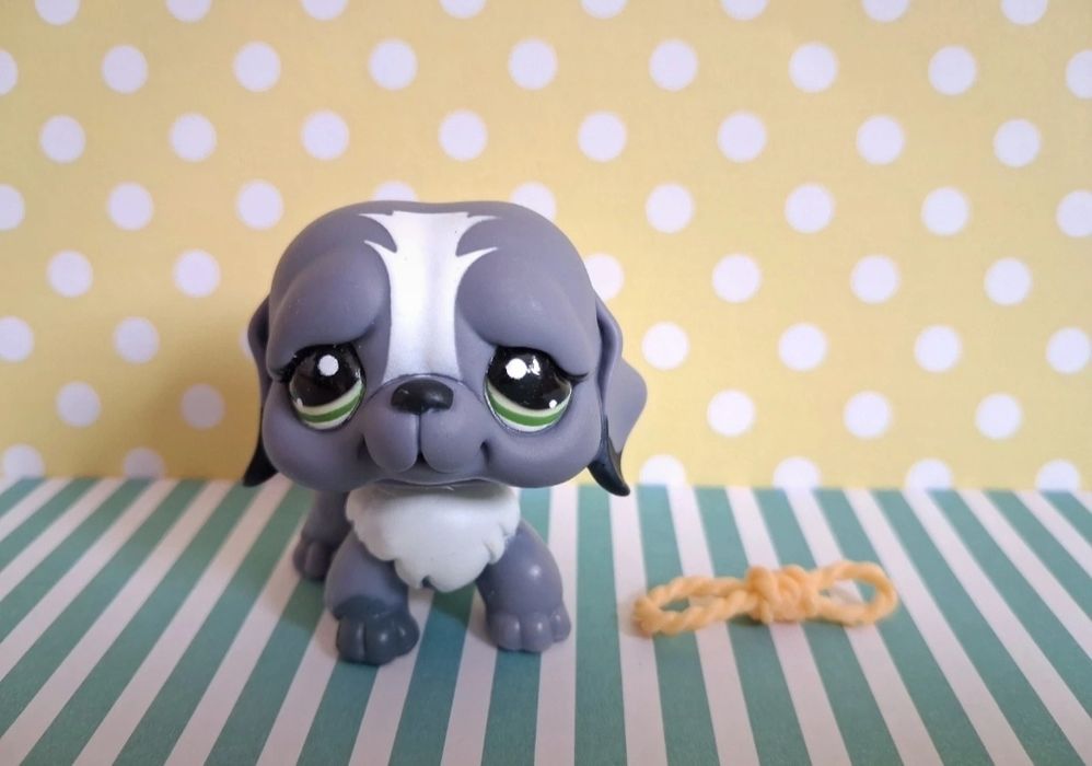 Littlest Pet Shop LPS unikatowy pies Bernardyn #1133
