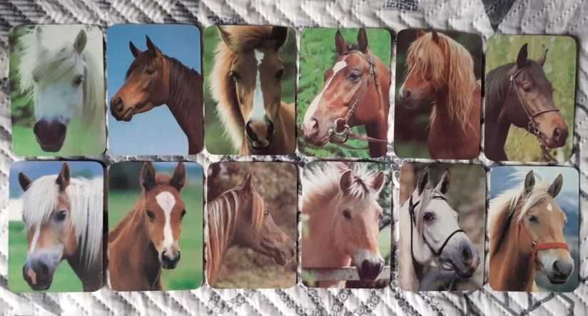 Conjunto de 12 Calendários Antigos - Cavalos