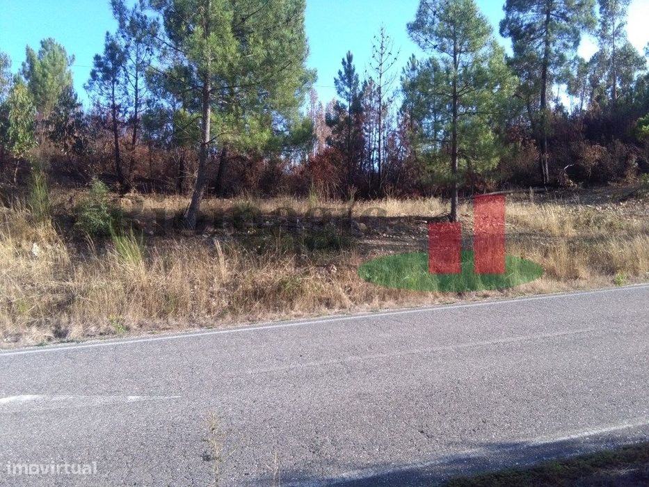 Terreno Rústico Cardigos ***RIOMAGIC***