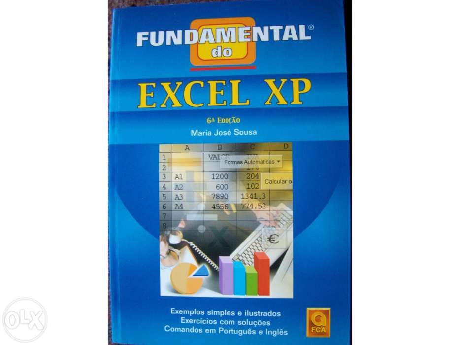 Conjunto de 3 livros fundamental windows xp (s,o, /excel/word/ppoint)