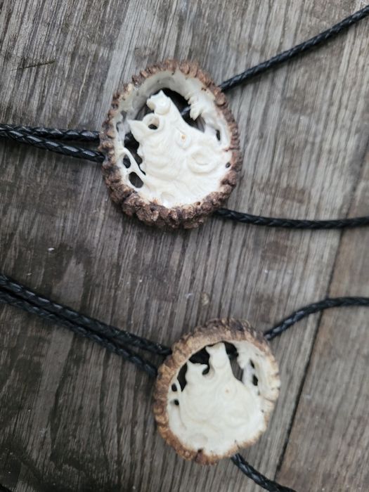 Dzik odyniec Bolo krawatnik poroze jelenia losia