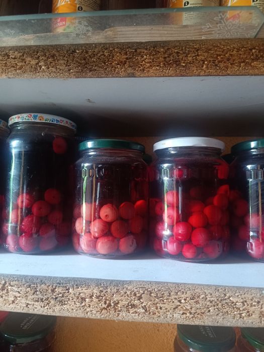 Kompoty z własnego ogrodu