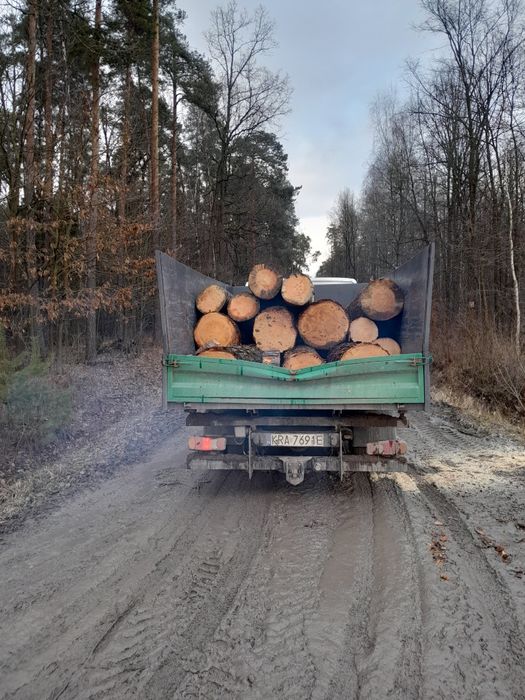 Drewno dąb sosna grab brzoza